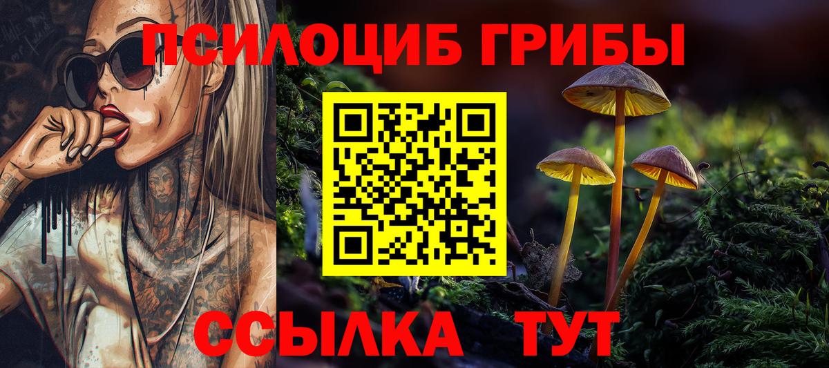 Галлюциногенные грибы Psilocybe Коркино